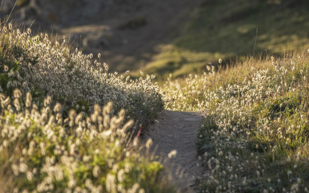 Semaine Nature & Bien-être à Belle-île